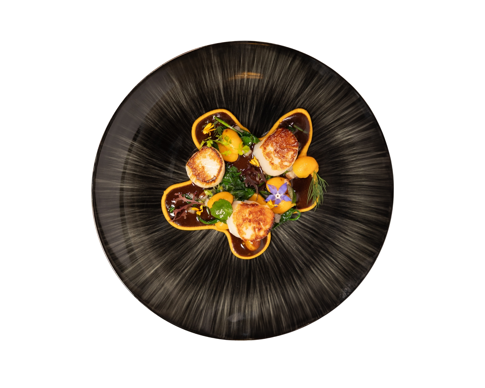 saintjacque1 Menu plat viande le restaurant le patio